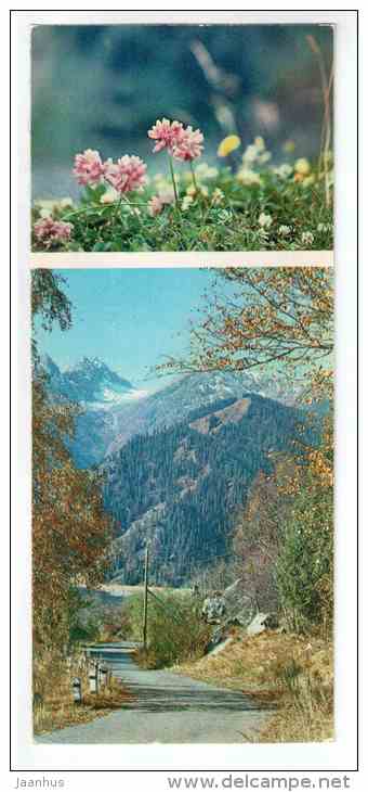 Crown Vetch - Securigera varia - Mountain Flowers - 1973 - Russia USSR - unused - JH Postcards