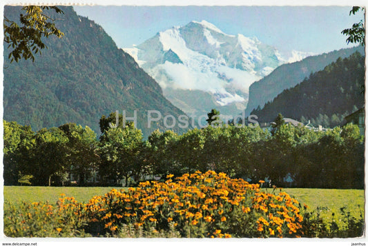 Jungfrau 4166 m von Interlaken gesehen - 8557 - Switzerland - 1958 - used - JH Postcards