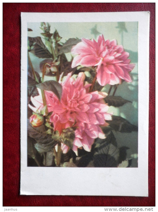 telegram - flowers - 1967 - Russia USSR - used - JH Postcards