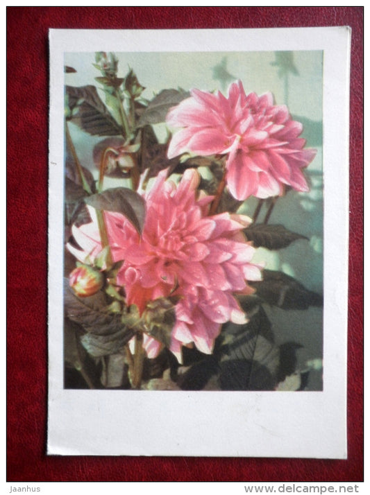 telegram - flowers - 1967 - Russia USSR - used - JH Postcards