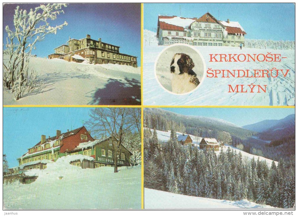 cottage ROH Petrovka - Moravska and Davidova cottage - Krkonose - Spindleruv Mlyn - Czechoslovakia - Czech - used 1976 - JH Postcards