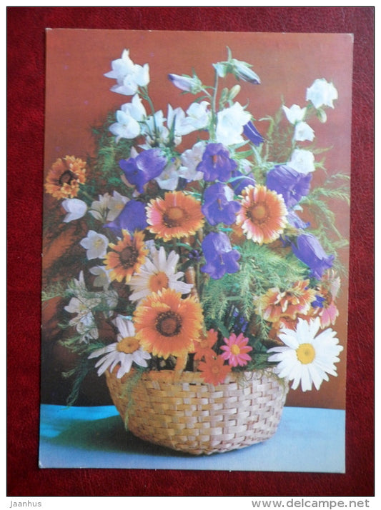 Greeting Card - daisies - flower basket  - flowers - 1981 - Russia USSR - used - JH Postcards