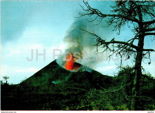 Etna - Attivita di un piccolo cratere a valle del vulcano - Little crater in eruption - volcano - 11 - Italy - unused - JH Postcards