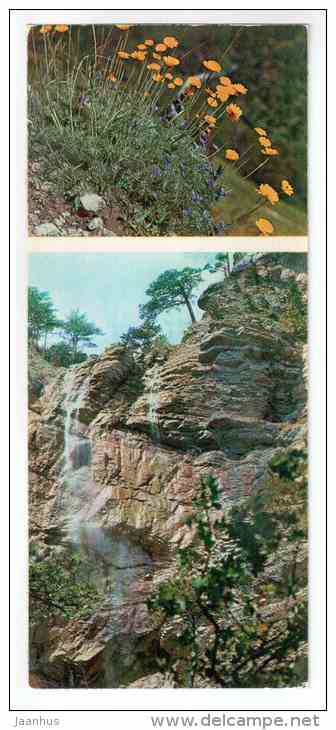 Anthemis sosnovskyana - Mountain Flowers - 1973 - Russia USSR - unused - JH Postcards