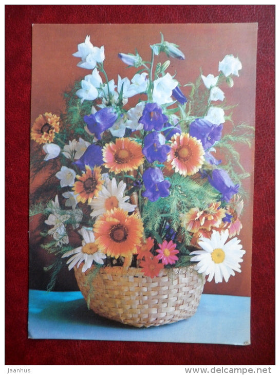 Greeting Card - daisies - flower basket  - flowers - 1981 - Russia USSR - unused - JH Postcards