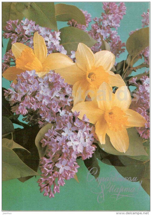 8 March International Women's Day greeting card - narcissus - lilac - postal stationery - 1984 - Russia USSR - unused - JH Postcards