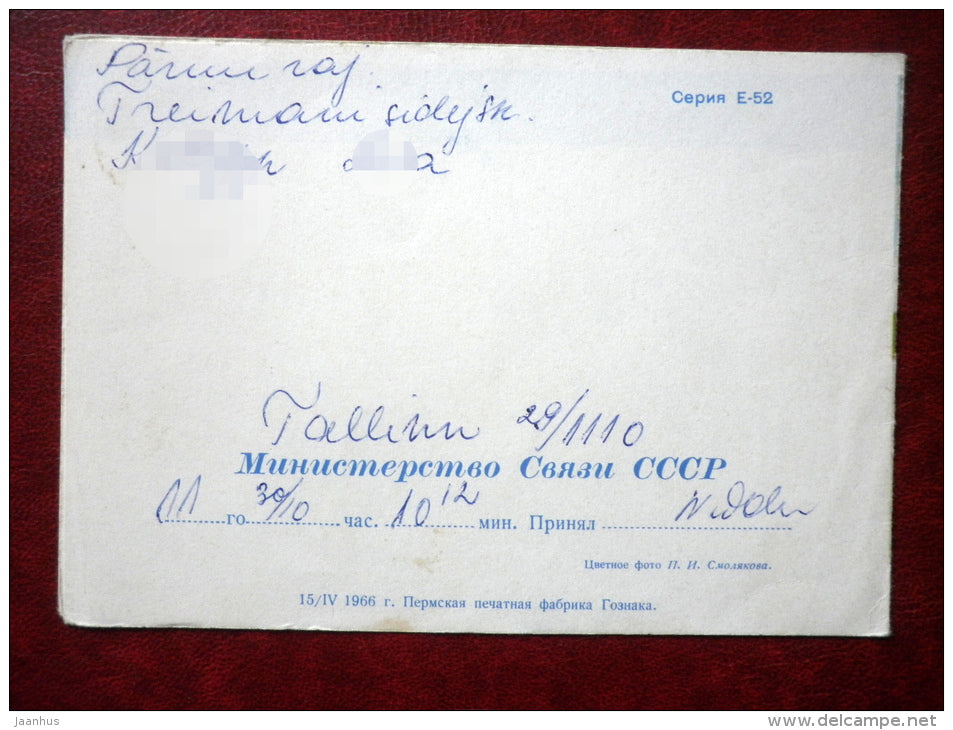 telegram - red roses - flowers - 1966 - Russia USSR - used - JH Postcards