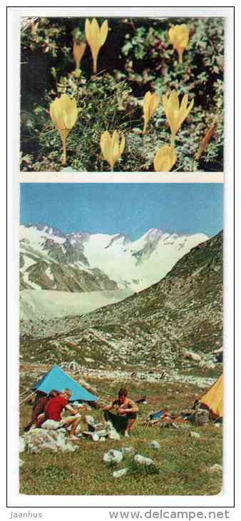 Crocus - tents - hikers - Mountain Flowers - 1973 - Russia USSR - unused - JH Postcards