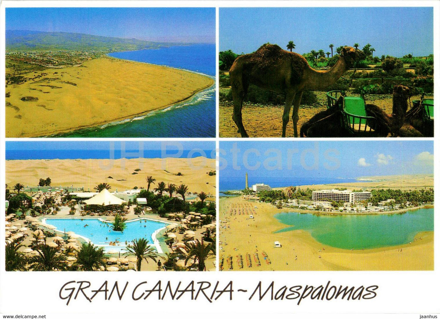 Maspalomas - camel - animals - Gran Canaria - 333 - Spain - unused - JH Postcards