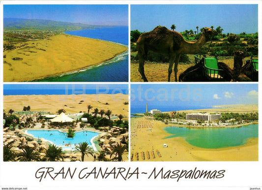 Maspalomas - camel - animals - Gran Canaria - 333 - Spain - unused - JH Postcards