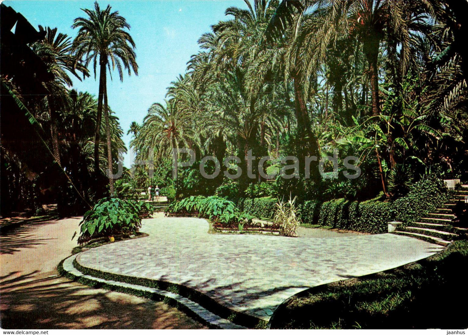 Elche - Hort de Baix - 3 - Spain - unused - JH Postcards