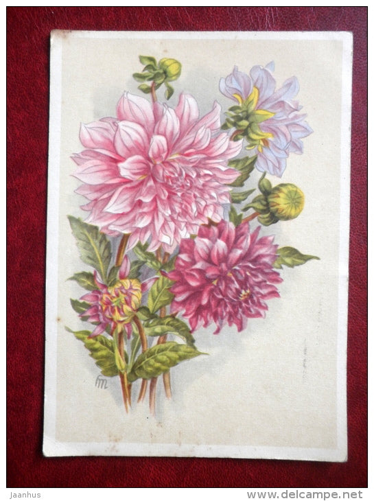 peonies ? - flowers - sent in 1956 - used - JH Postcards