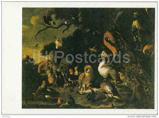 painting by Gillis d'Hondecoer - Concert of the Birds - owl - duck - peacock  Dutch art - Lithuania USSR - 1982 - unused - JH Postcards