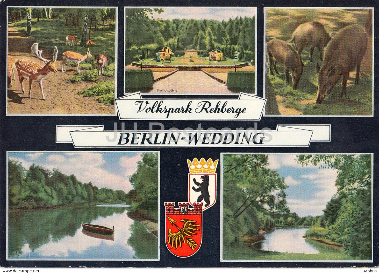 Berlin - Volkspark Rehberge - Berlin Wedding - deer - Freilichtbuhne - animals - Germany - unused - JH Postcards