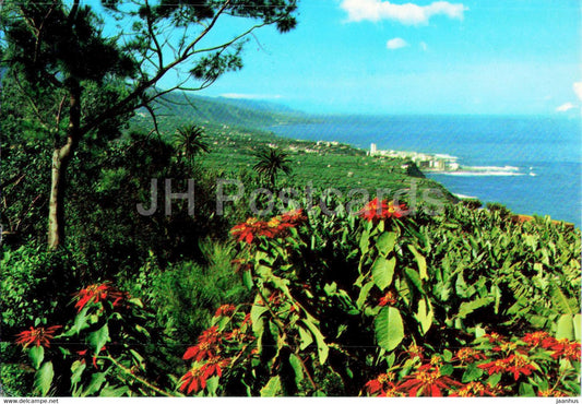 Puerto de la Cruz - Vista Panoramica - Panoramic View - Tenerife - 2610 - 1981 - Spain - used - JH Postcards