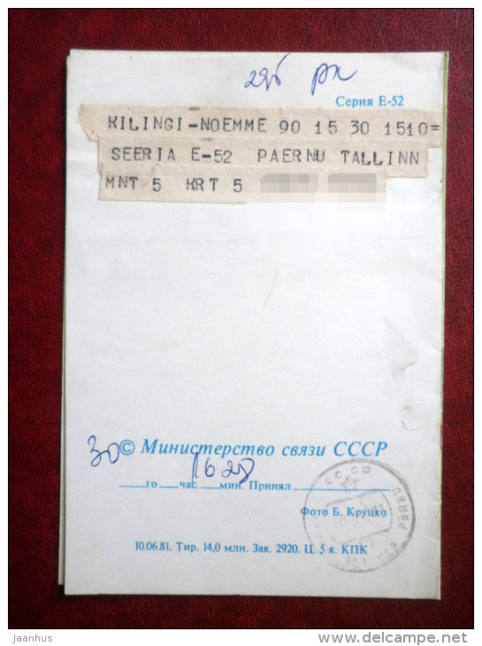 telegram- white roses - flowers - 1981 - Russia USSR - used - JH Postcards