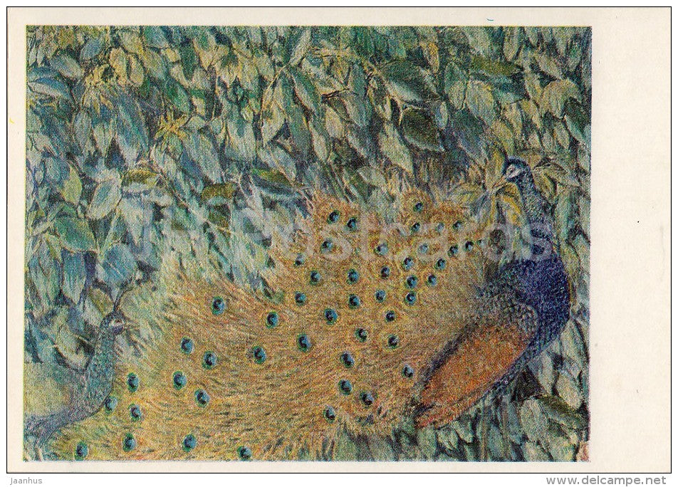 painting by M. Larionov - Peacock , 1907 - bird - Russian art - 1985 - Russia USSR - unused - JH Postcards