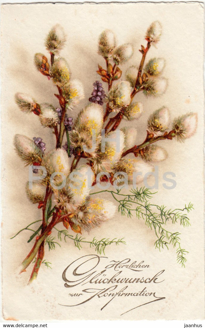 Greeting Card - Herzlichen Gluckwunsch zur Konfirmation - catkin - BR 8240 - old postcard - Germany - used - JH Postcards