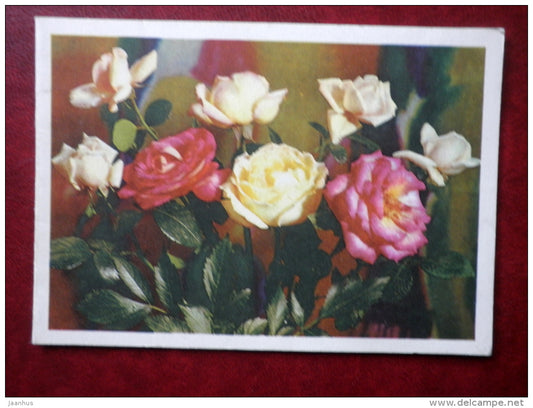 telegram - red and yellow roses - flowers - 1972 - Russia USSR - used - JH Postcards