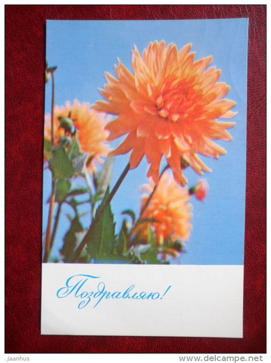 greeting card - flowers - 1967 - Russia USSR - used - JH Postcards