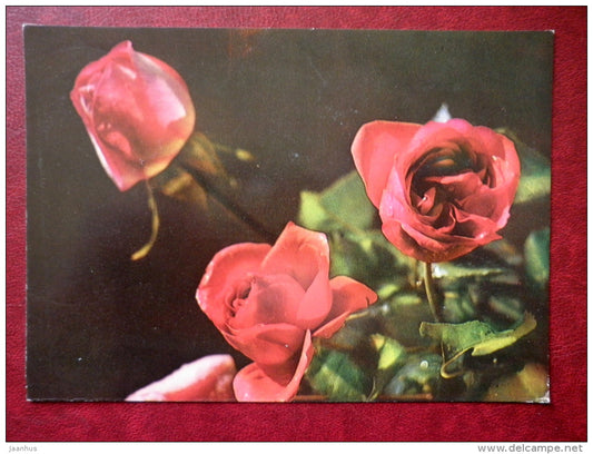 Greeting Card - red roses - flowers - 1976 - Russia USSR - used - JH Postcards