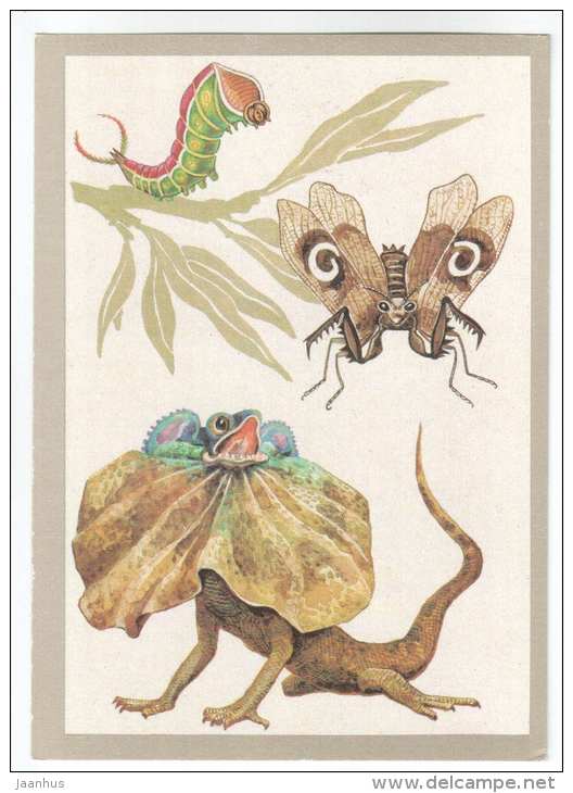 Lizard - Spiny Flower Mantis - Large Harpy caterpillar - Animals defend themselves - 1988 - Russia USSR - unused - JH Postcards