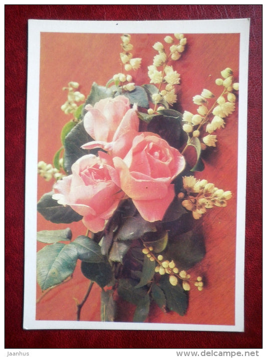 pink roses - flowers - 1983 - Russia USSR - used - JH Postcards