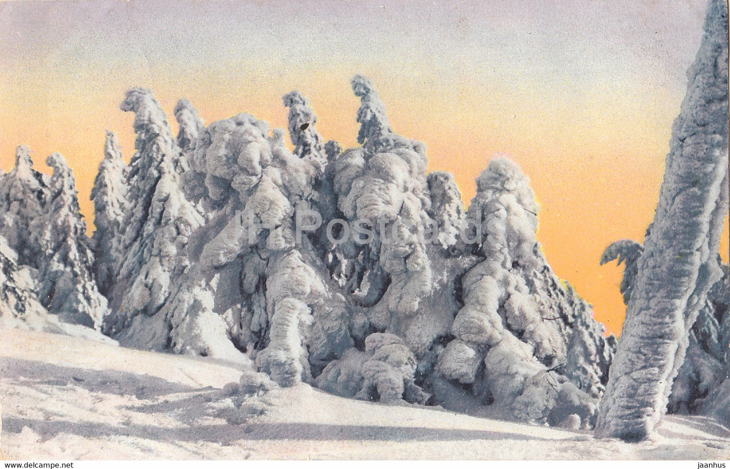 Der Harz im Winter - Partie am Brocken - Vereiste Tannen - old postcard - Germany - used - JH Postcards