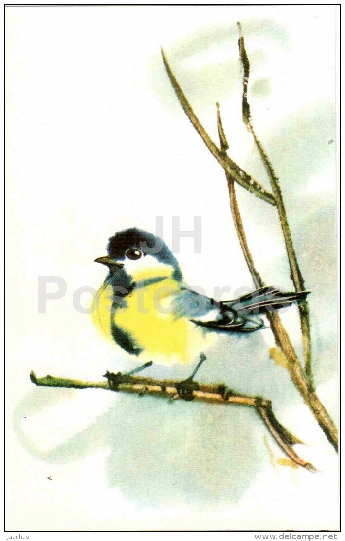 illustration by V. Kanevsky - Great Tit - Parus major - bird - illustration - 1977 - Russia USSR - unused - JH Postcards