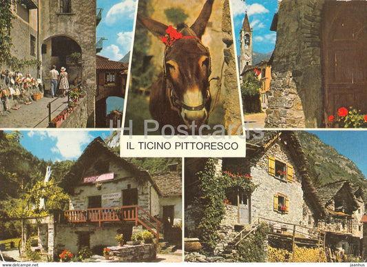 Il Ticino Pittoresco - donkey - multiview - 8604 - 1978 - Switzerland - used - JH Postcards