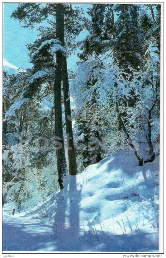 New Year Greeting Card - winter forest - 1974 - Russia USSR - unused - JH Postcards