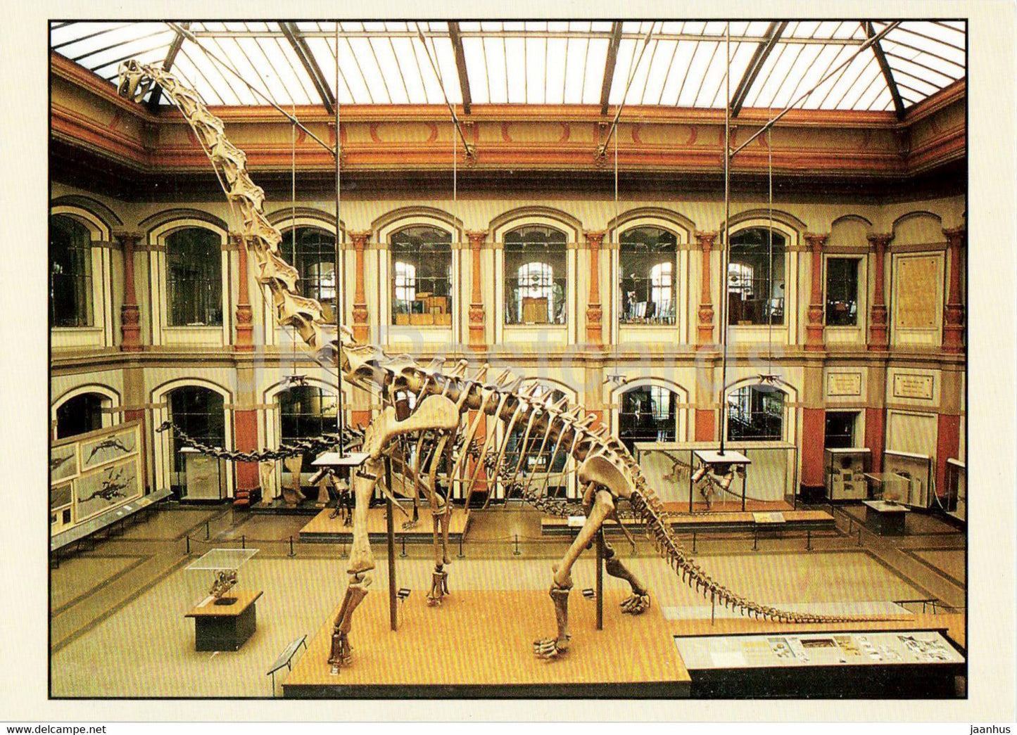 Sauriersaal mit Brachiosaurus brancai - dinosaur - Museum für Naturkunde - Germany - used - JH Postcards