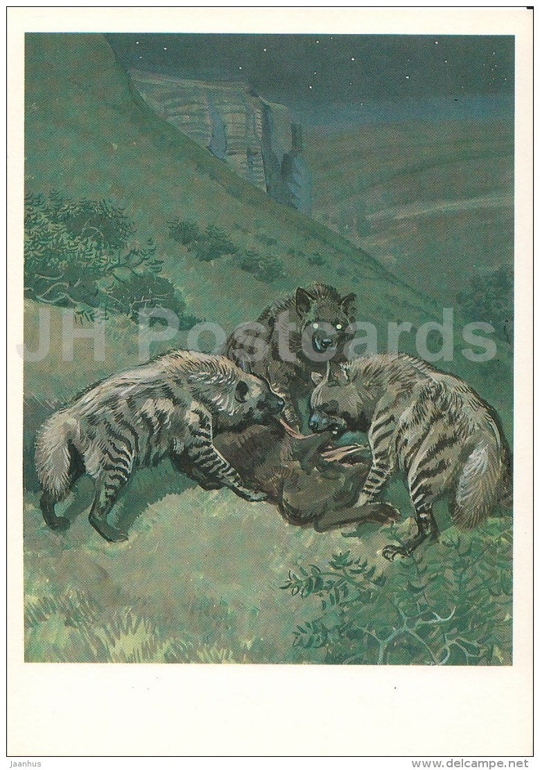 Striped hyena , Hyaena hyaena - Endangered species - illustration by V. Gorbatov - 1990 - Russia USSR - unused - JH Postcards