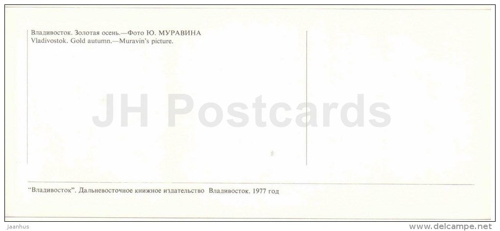 golden autumn - mushrooms - daisies - Vladivostok - 1977 - Russia USSR - unused - JH Postcards