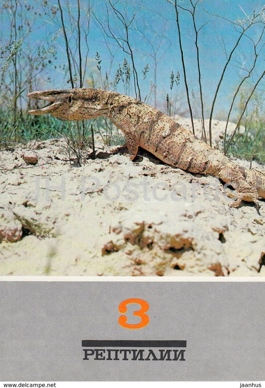 Desert monitor - Varanus griseus - Reptiles - animals - 1989 - Russia USSR - unused - JH Postcards