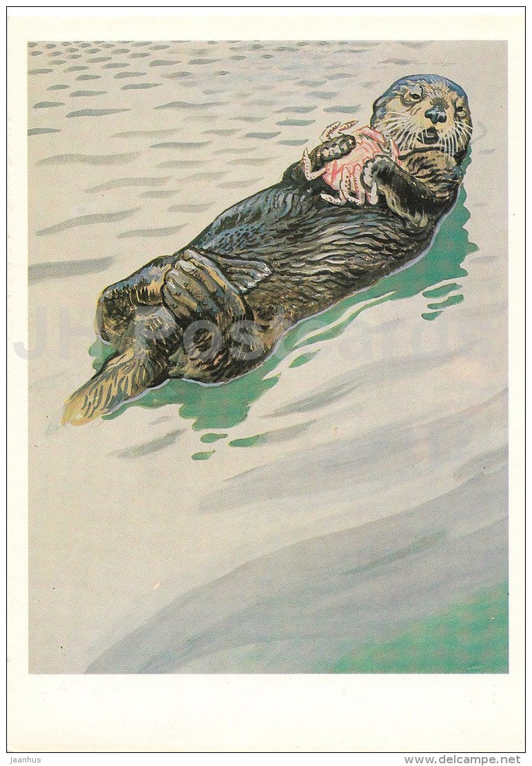 Sea otter , Enhydra lutris - Endangered species - illustration by V. Gorbatov - 1990 - Russia USSR - unused - JH Postcards