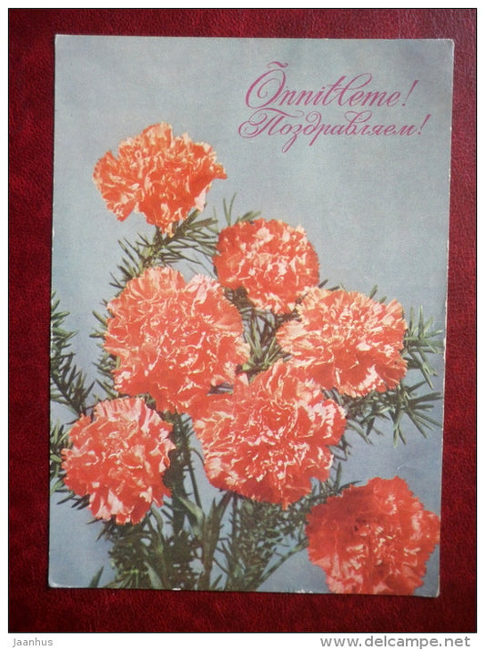 Greeting Card - carnation - flowers - 1976 - Russia USSR - used - JH Postcards