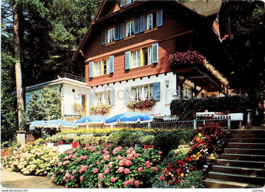 Hotel Wolfsprung - Brunnen - Am Vierwaldstattersee - Switzerland - unused - JH Postcards