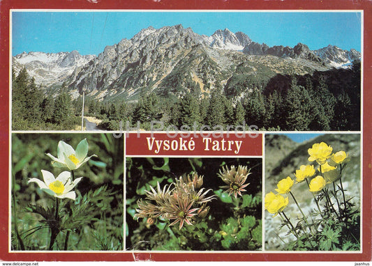 Vysoke Tatry - High Tatras - flowers - multiview - Czechoslovakia - Czech Republic - used - JH Postcards