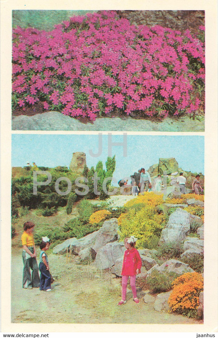 Central State Botanical Garden of Ukraine SSR - Moss phlox - rock garden - flowers - 1978 - Ukraine USSR - unused - JH Postcards