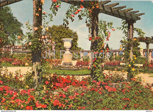 Insel Mainau im Bodensee - Rosengarten - 1977 - Germany - used - JH Postcards