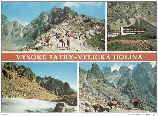 Velicka Dolina - valley - Polish ridge - Sliezsky house - chamois - Vysoke Tatry - Czechoslovakia - Slovakia - used 1984 - JH Postcards