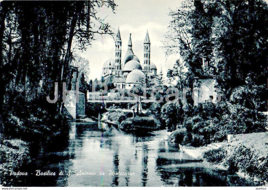 Padova - Basilica di S Antonio da Pontecorvo - The Basilica of the Saint Seen from Pontecorvo - Italy - used - JH Postcards