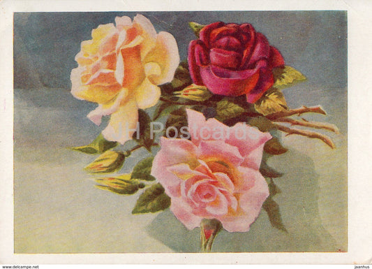 illustration - roses - flowers - 1963 - postal stationery - Russia USSR - unused - JH Postcards