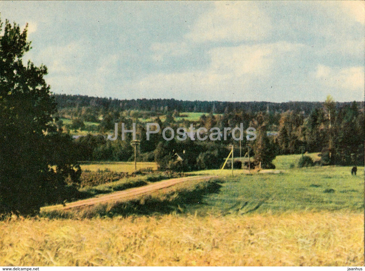 Scene of Liezere - Latvian Views - old postcard - Latvia USSR - unused - JH Postcards