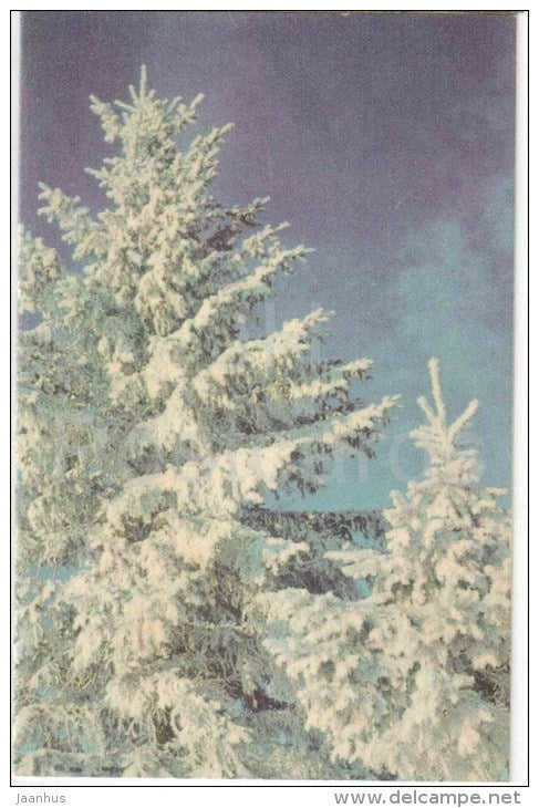 New Year Greeting card - winter forest - fir tree - 1973 - Estonia USSR - used - JH Postcards