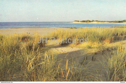 Latvian Nature - Outfall of the Gauja - 1976 - Latvia USSR - unused - JH Postcards