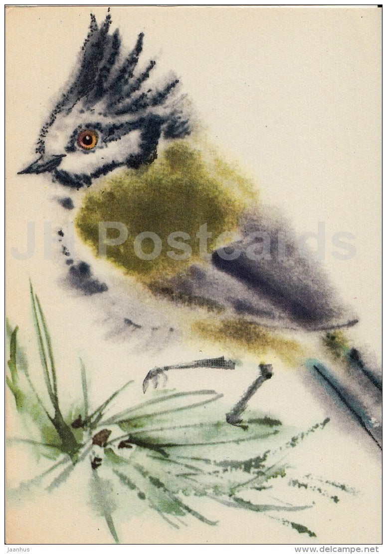 illustration by E. Pikk - European crested tit - Lophophanes cristatus - birds - 1974 - Estonia USSR - used - JH Postcards