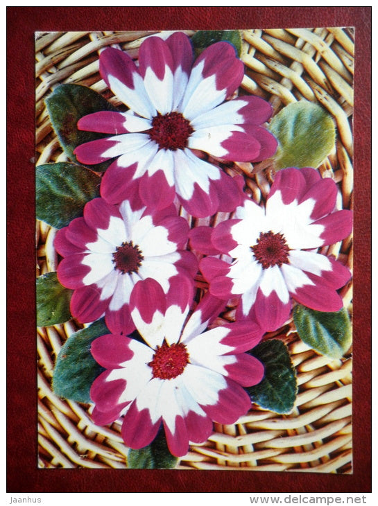 Greeting Card - flower composition - flowers - 1976 - Russia USSR - used - JH Postcards