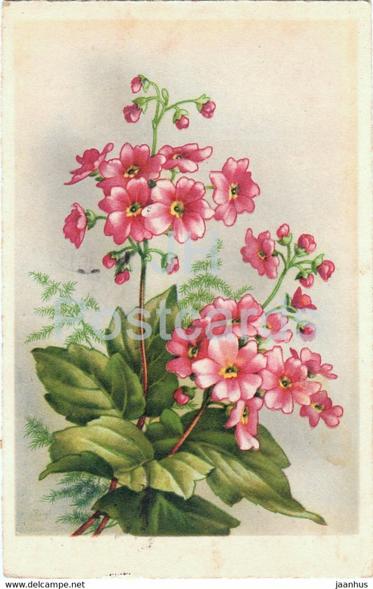 red flowers - illustration - HA CO 6268 - old postcard - 1943 - Germany - used - JH Postcards